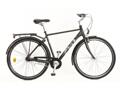 Crescent Castor -12 55cm brun